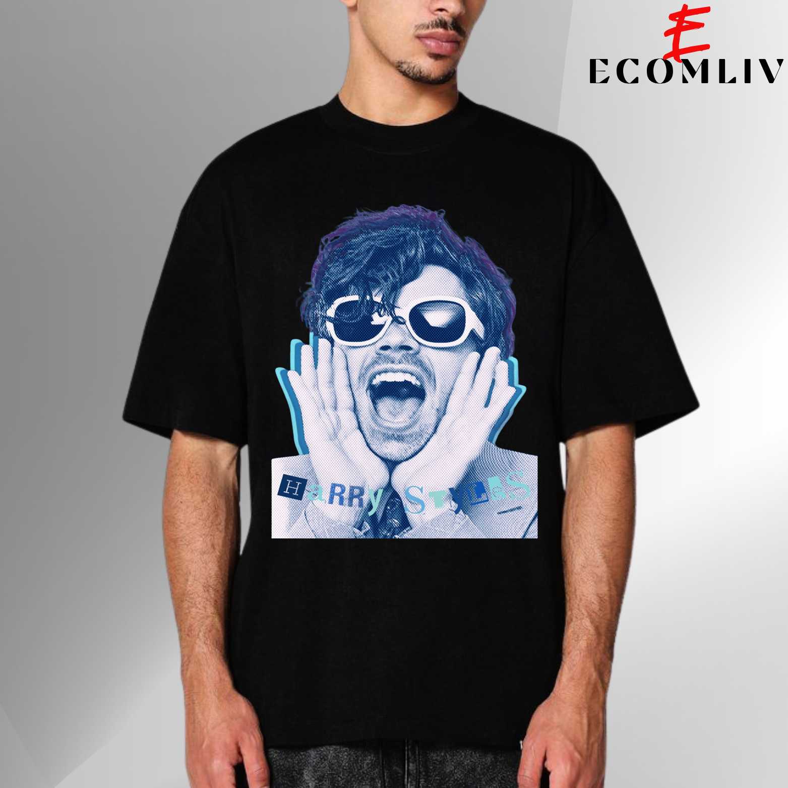 Harry Styles Retro T Shirt, Music Fan Shirt, Streetwear Apparel